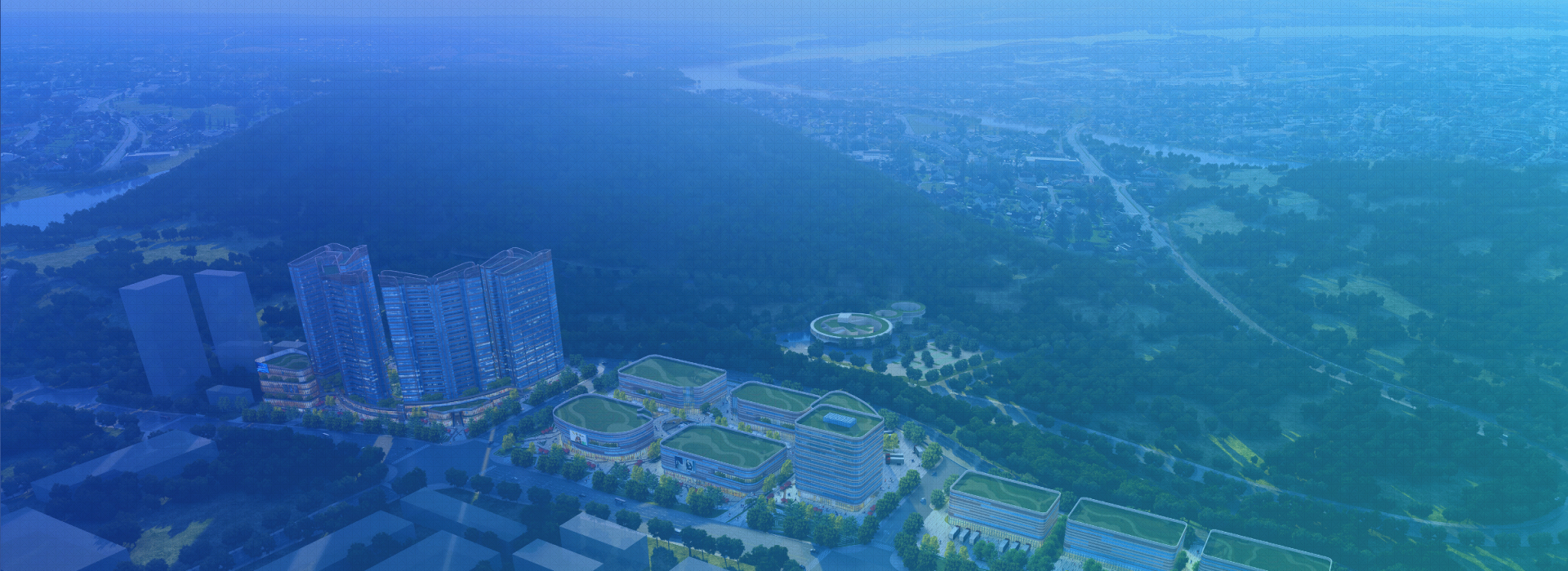 �˱���Ӧ������