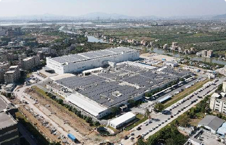 �����������