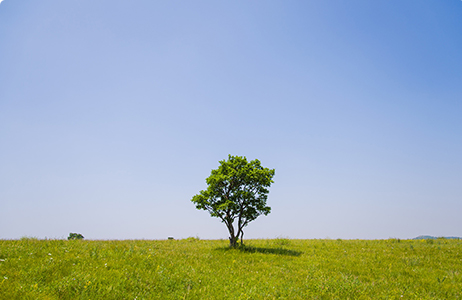 �����ƶ������������淶���������������Ͽ�������Ϣ��¶����