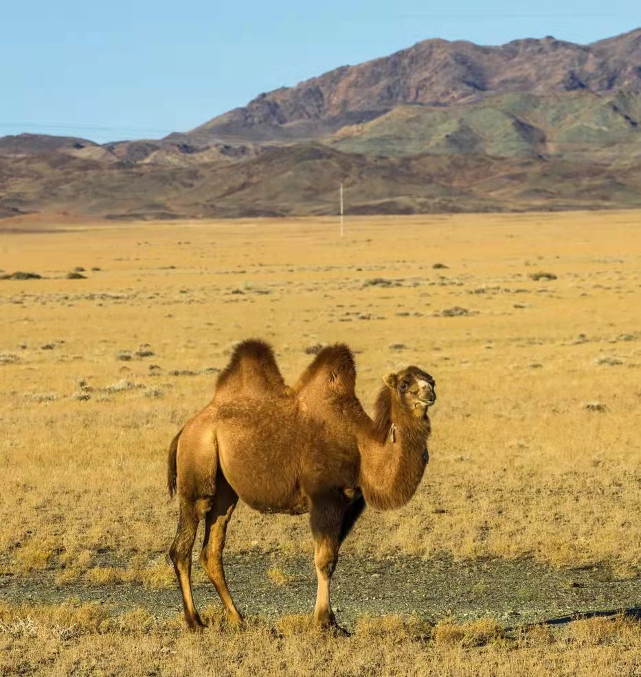 6378554143176794624329557.jpg Stake(ÖйúÇø)¹Ù·½ÍøÕ¾